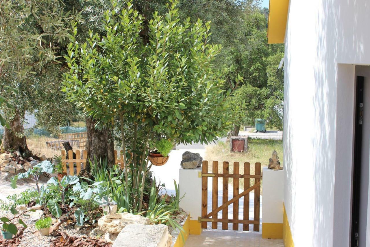 Turismo Rural Casa Da Ceu Amiais de Cima Eksteriør bilde